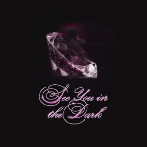 See You In the Dark - Vaishalini (Cover Art)